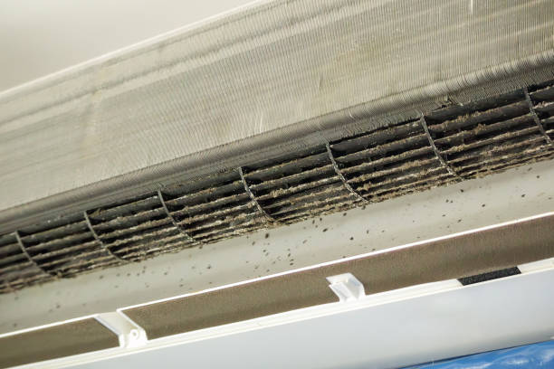 Professional Airduct Cleaning in Pelham, AL